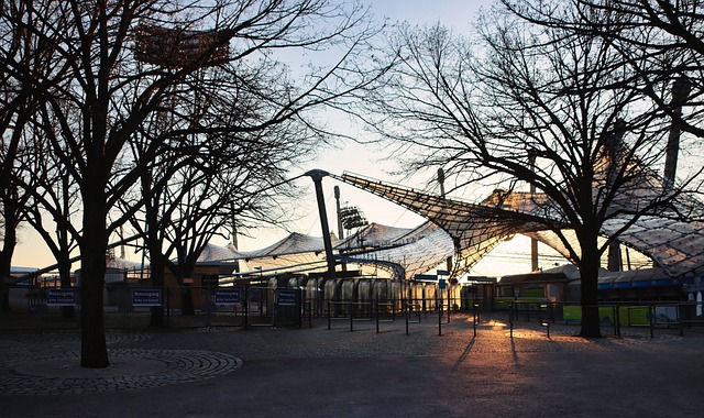 区的大学生
