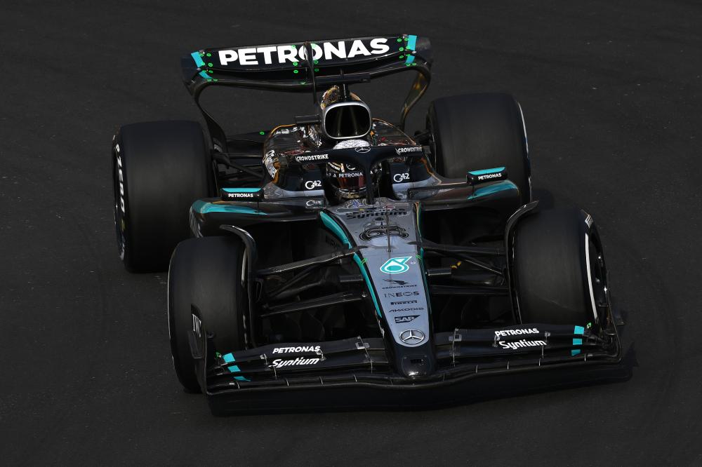 高荣誉的象 高荣誉的象