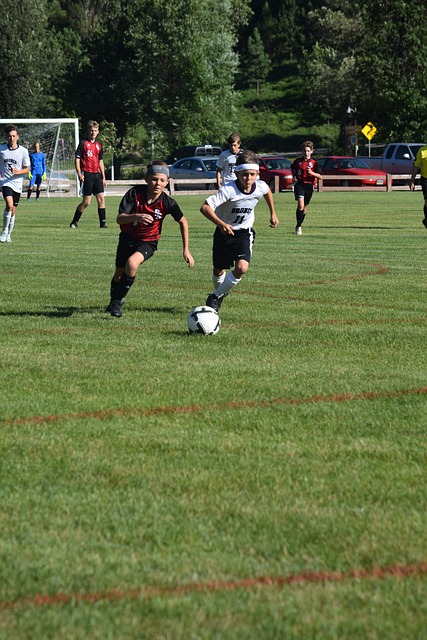 表现和准备 表现和准备