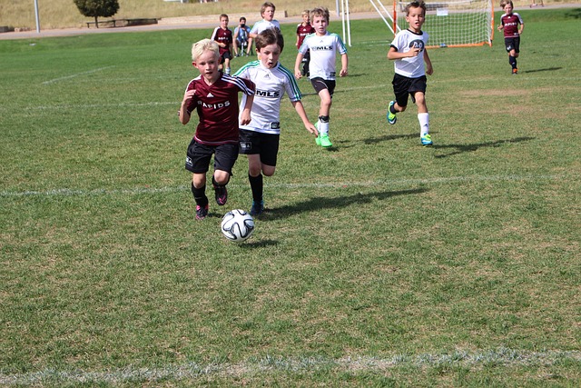 尽管收入相 尽管收入相