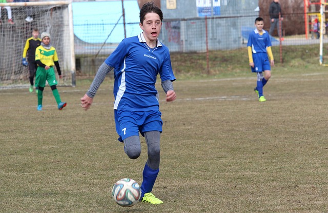 这不仅丰富 这不仅丰富